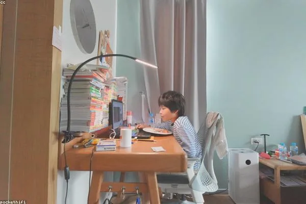 Lumiere LED Desk Lamp with USB Port