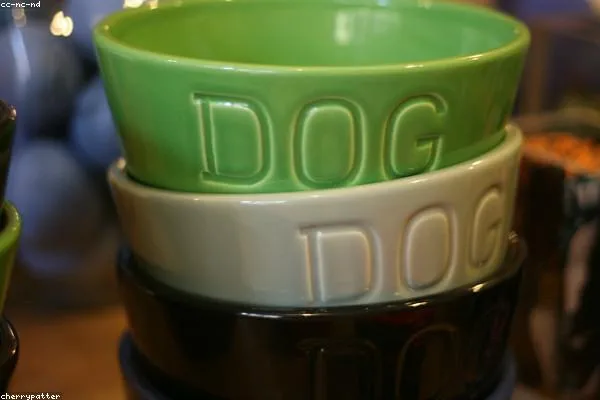 TidyTail Stainless Steel Pet Bowls (Set of 2)